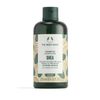 Shea Shampoo 250 ml