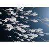 SPERM BOOSTER - Increase Sperm Count - Powerful Ejaculations - to Treat & Preven