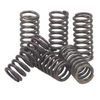 EBC Clutches CSK71 CSK71 CLUTCH SPRING KIT EBC