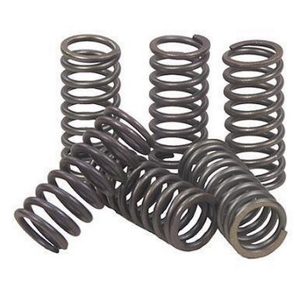 EBC Clutches CSK71 CSK71 CLUTCH SPRING KIT EBC