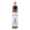 Healing Herbs/Flower Essence [Chicory]