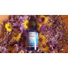 Blue Lotus-Nymphaea Caerulea-Blue Egyptian Tincture-Veget