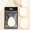 LOLA Oval Sponge