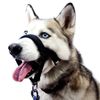 CVNRCLP Adjustable Dog Head Collar - Padded Head Harness for Comfortable Control - Anti-Pulling Halter Collar (Medium, Black)