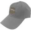 Bob Dylan Snapback Cap ~ Eye Icon Grey