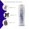 Artero Shampoo Blanc 250 Ml