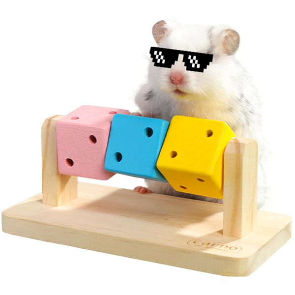 Hamster Enrichment Toys, Hamster Chew Toys, Wooden Hamster Cage Accessories, for Syrian & Dwarf Hamsters, Gerbils, Rats