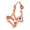 HKM Hobby Horsing Headcollar Set Basic Halter and Rope for Horse (Orange)