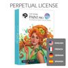 CLIP STUDIO PAINT PRO - Version 4 | Perpetual License | for Windows and macOS