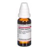 Grindelia robusta Urtinktur D1 DHU, 20 ml Lösung