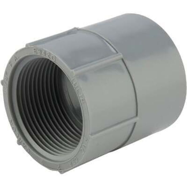 Carlon 1-1/4 In. Female Threaded & Socket PVC Conduit Female Adapter E942GR