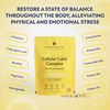 Rejuvenated Cellular Calm Complex - Nootropic & Adaptogen Blend for Stress Relief (60 Capsules)