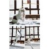 Pet Cat Handmade Wand Interactive Toy with feather and bell brown