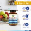 Terranics Probiotics 60 Billion CFU, 20 Strains, 60 Veg Capsules, Prebiotics & Probiotics, Shelf Stable Probiotic Supplement for Men & Women, Digestive & Immune Health, Non-GMO, NO Soy, Dairy & Gluten
