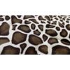 Sango Meyer Pillow Pad Leopard Pattern Warm and Comfortable Pillow Pad 43*63cm Pillowcase
