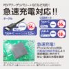 AXS Direct DC 2-Port Charger C+A Curl Cord X-331