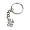 FizzyButton Gifts Cactus Keyring Key Ring with Silver Tone Charm and Silver Tone Keychain