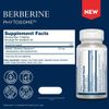 Peak Absorption Berberine Supplement 30 Count Easy to Digest Phytosome Formula