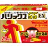 【第3類医薬品】ハリックス55EX温感A 25枚