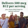 Methyl B12 90 Tablet