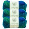 (3 Pack) Lion Brand Landscapes Yarn - Blue Lagoon