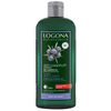Logona Juniper Dandruff Treatment Shampoo 250 ml