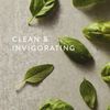 Thymes Soft Surface Scrub - Multipurpose Surface Cleaner - Fresh Scented Surface Scrub - Plant-Derived Cleaning Ingredients (Fresh-Cut Basil)