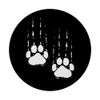 Katzenkrallen mit Krallen PopSockets mit austauschbarem PopGrip