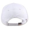 COASTAL - SurfsUp (light grey) - Men`s Curved Visor Dad Cap