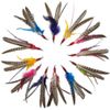 Go Cat Da Bird “Super Refill” 12-Pack (Genuine Guinea Feathers)