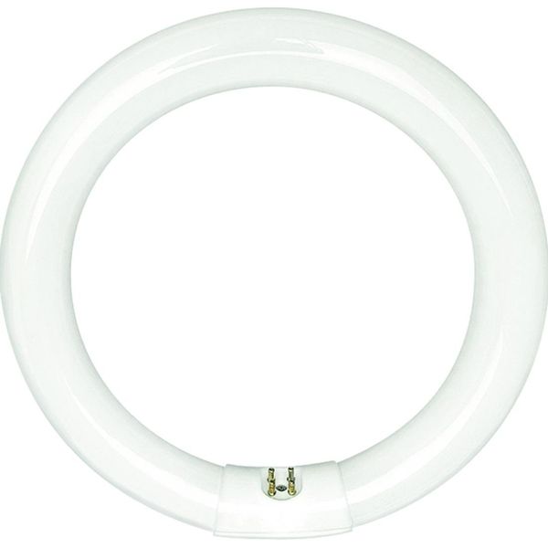 Sylvania 20142 - FC12T9/CW/RS -32 Watt T9 Cool White Circular Fluorescent Light Bulb, 12" Diameter