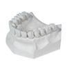 DENTAL LAB PLASTER STONE WHITE TYPE II REGULAR SET 5 Lbs