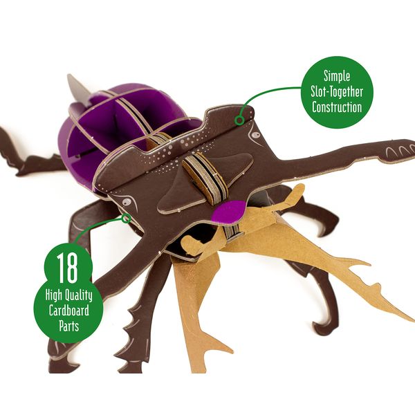 Build Your Own Striking Stag Beetle - Pull Tab Pincer Snapping Action - Eco Friendly Cardboard Craft Kit - Ages 8+