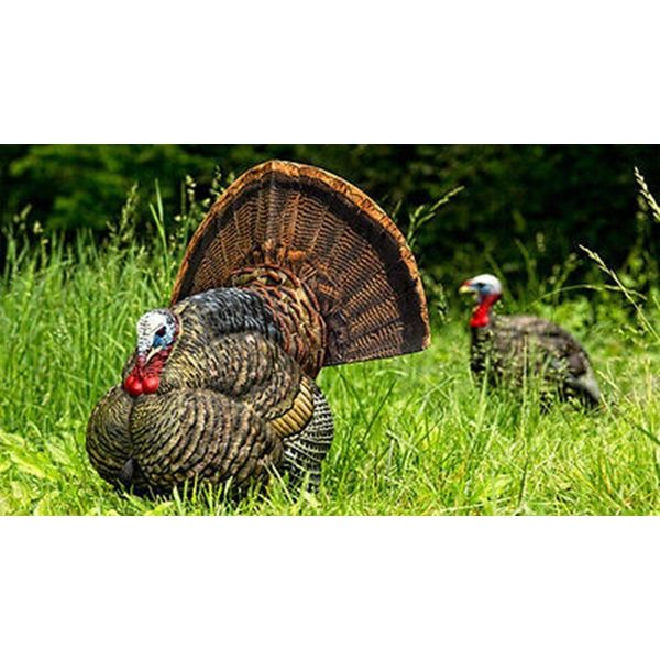 Avian-X 8004 LCD Stutter Turkey Hunting Decoy