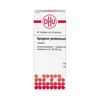 Syzygium jambolanum D6 DHU Tabletten, 80 St. Tabletten