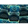 Ibiza Tarot Noah and The Ark - Oracle cards