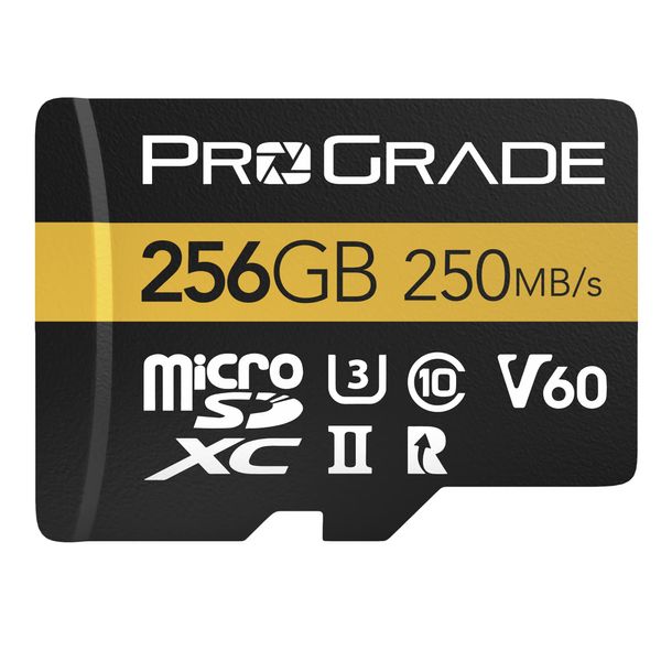 microSD Card V60 (256GB) - Tested for Full Size SD Card Devices | Up to 250MB/s Read, 130MB/s Write ProGrade Digital