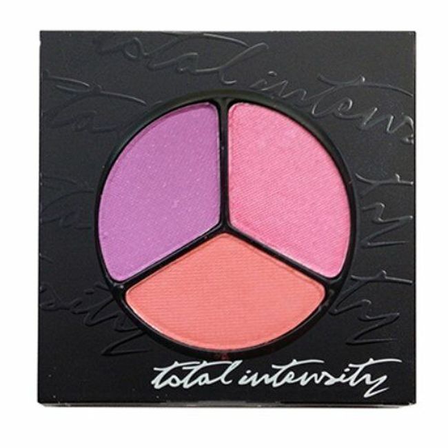 NEW Total Intensity Totally Matte Eye shadow Trio Offbeat 0.07 Oz TIA-01 WO68