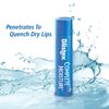 Blistex Lip Balm Complete Moisture, 0.15 oz (Bundle of 12)