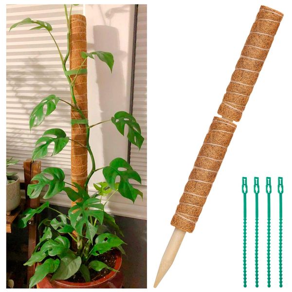 2 Pcs 12 Inches Coir Moss Poles for Climbing Plants with 4 Pcs Adjustable Plant Twist Ties - Coir Moss Totem Stick for Creepers Plant Support Extension, Climbing Indoor Plants(Total 20 Inch)