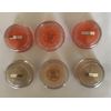 6 Naturistics summer Splash Glitter Lip Gloss please read below