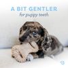 Benebone Puppy Soft Toy Bones 2 Pack Suitable for Moderate Chewing