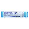 Boiron Gelsemium sempervirens (80 Pellets)