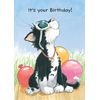 Suzy's Zoo New 2012 Assorted Birthday Card 6-Pack 10153
