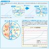Ishizaki Material Cooling Scarf with a Cool M; Does not get wet, does not wrap, Blue