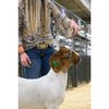 Weaver Leather Total Control Goat Halter