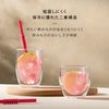 Bodum Double Wall Glass Pavina