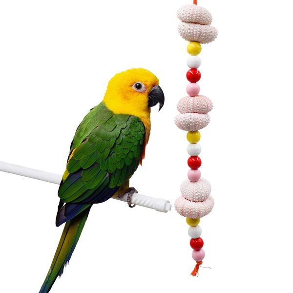 Jinkoozz Bird Chewing Toys, Parrot Beak Grinding Sea ​​Urchin Toy, Bird Cage Accessories, Cage Toys for Cockatiel Parakeet Parrot Budgies Rat Hamster Chinchilla Rabbit Bunny African Grey