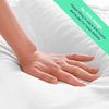 Celeep Bed Pillows (2 Pack) - Pillow Set Queen Size - Hotel Quality Sleeping Pillows for Side, Stomach and Back Sleepers - Microfiber Filling - Soft and Supportive (Queen)