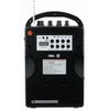 Hisonic HS210 Rechargeable Portable PA System with Wireless Microphone 